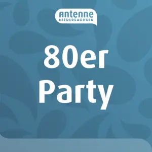 アンテナ ニーダーザクセン 80 年代パーティー