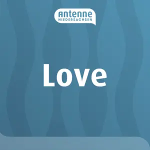 アンテナ ニーダー ザクセン ラブ