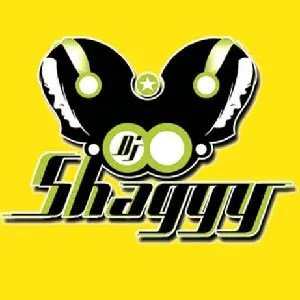 DJ シャギー ベネズエラ