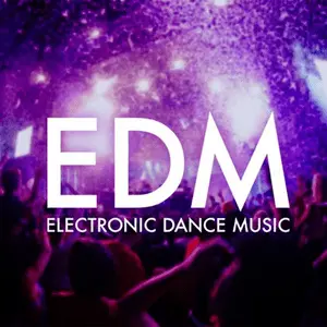 EDM ラジオ