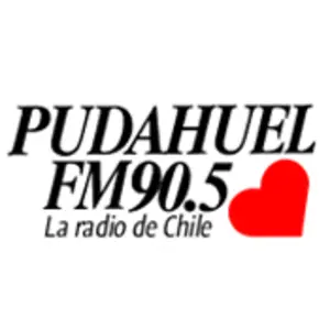 プダウエル 90.5 FM